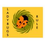 Ladybugs Post Cards