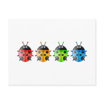 Ladybugs