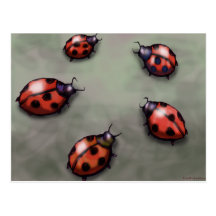 Ladybugs Postcards