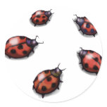 Ladybugs stickers