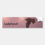 Ladyhawk Bumper Stickers