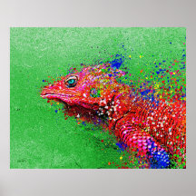 Lagarto Salpicado Print