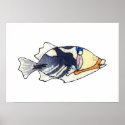 Lagoon Triggerfish Wall Art Poster posters