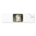 Lagotto Romagnolo 8T22D-12 bumper stickers