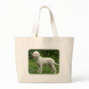 Lagotto Romagnolo 9M047D-14 bags