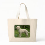 Lagotto Romagnolo 9M047D-14 bags