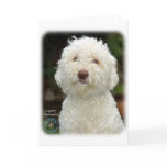 Lagotto Romagnolo 9M048D-19 Greeting Cards