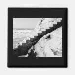 Laguna Beach Fridge Magnets