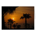 Laguna Beach Sunset cards