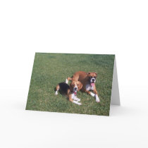 Laid Back Cards