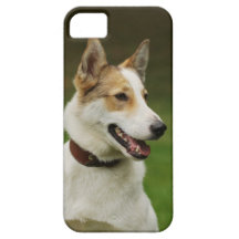 Laika iPhone 5 Case