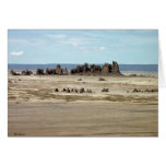 Lake Abbe cards