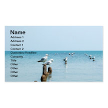 LAKE BUSINESS CARD