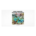 Lake Carnegie, Western Australia photo cards