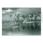 Lake Charles- blank card- cutomizable