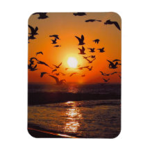 Lake Erie Sunset Vinyl Magnets
