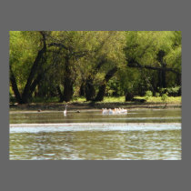 lake fun posters