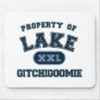Lake Gitchigoomie Mousepads
