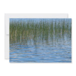 Lake Grasses Custom Announcement