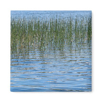 Lake Grasses Refrigerator Magnet