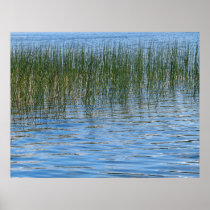 Lake Grasses Poster