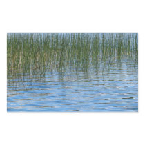 Lake Grasses Stickers