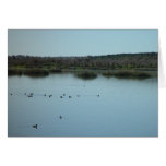 Lake Joondalup At High Ebb Card