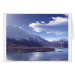 Lake Mahogony cards