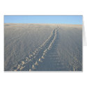 Lake McConaughy cards