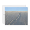 Lake McConaughy invitations