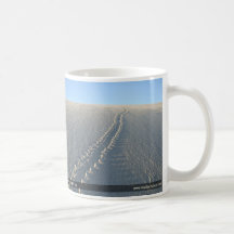 Lake McConaughy Mugs