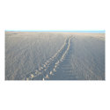 Lake McConaughy photo cards