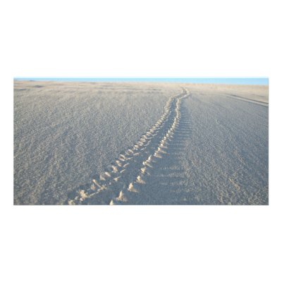 Lake McConaughy Picture Card by Bro_Jones