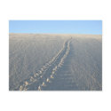 Lake McConaughy postcards