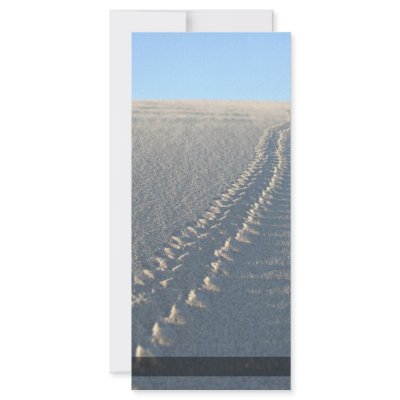 Lake McConaughy Rack Card by Bro_Jones