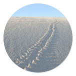 Lake McConaughy Sticker