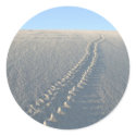 Lake McConaughy stickers