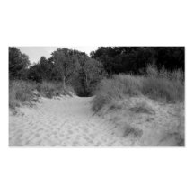 Lake Michigan Dunes Business Card