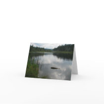 Lake Padden Stillness