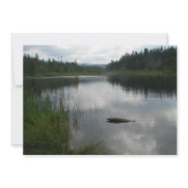 Lake Padden Stillness
