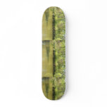 Lake Penny skateboards