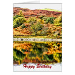 LAKE REFLECTIONS CARD