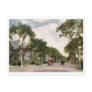 Lake Shore Drive, Chicago 1914 Vintage Post Cards