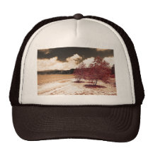 Lake shore trucker hat