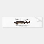 Lake Sturgeon Bumper Stickers