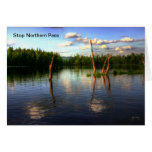 Lake Umbagog Stamp, Card, Poster, Print