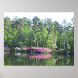 Lake View Print