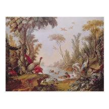 Lake with geese, storks, parrots and herons postcard