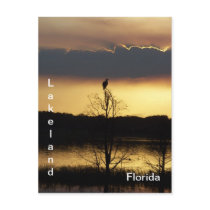 Lakeland Florida Sunset 139 Postcard