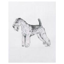 Lakeland Terrier Flyer